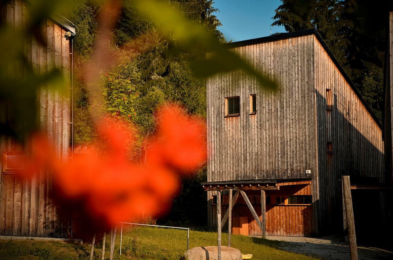 Naturepark Chalet Harrachov